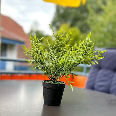 Feriendorf Papillon Wohnung 03-7 Boltenhagen  Zewnętrze zdjęcie