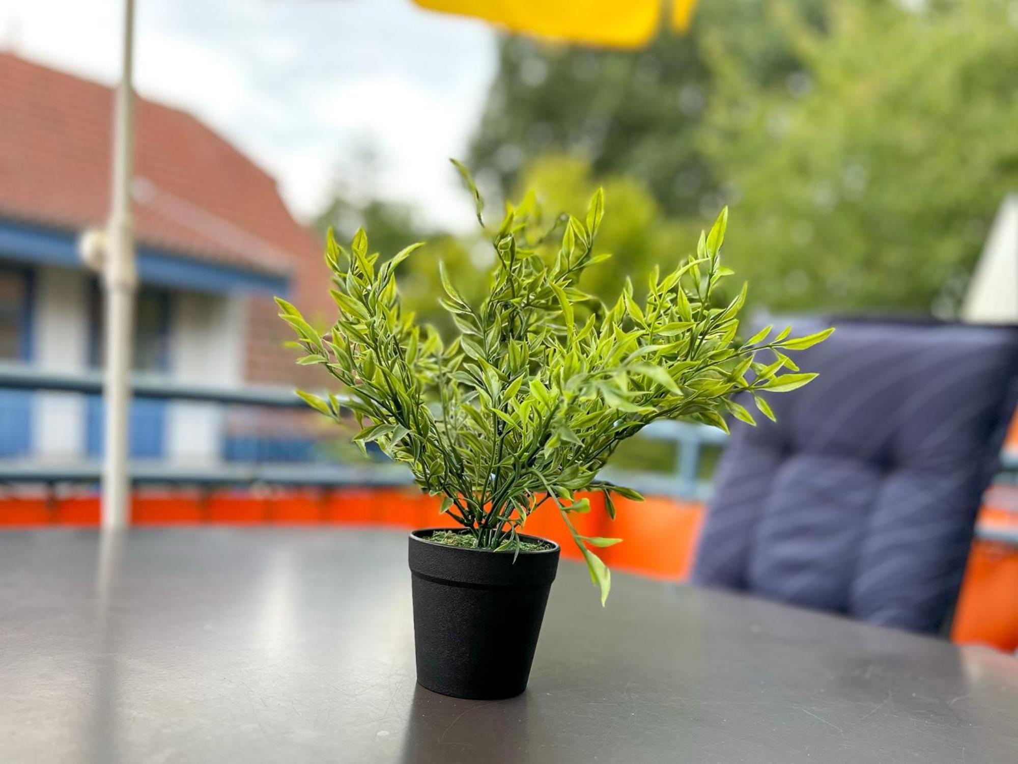 Feriendorf Papillon Wohnung 03-7 Boltenhagen  Zewnętrze zdjęcie